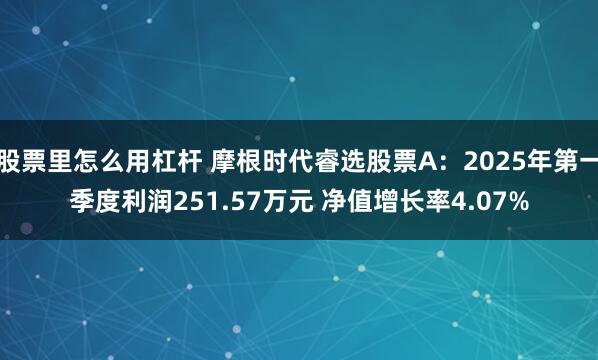 股票里怎么用杠杆 摩根时代睿选股票A：2025年第一季度利润251.57万元 净值增长率4.07%