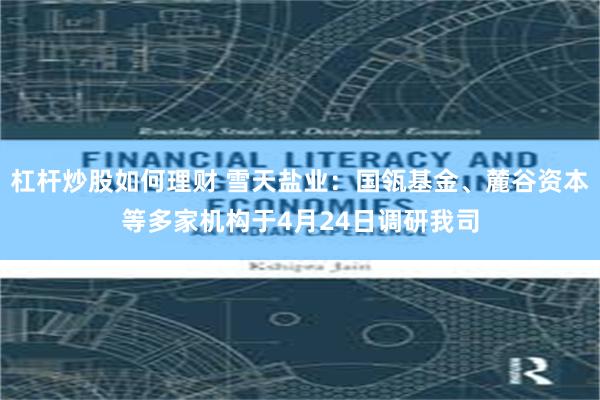 杠杆炒股如何理财 雪天盐业：国瓴基金、麓谷资本等多家机构于4月24日调研我司