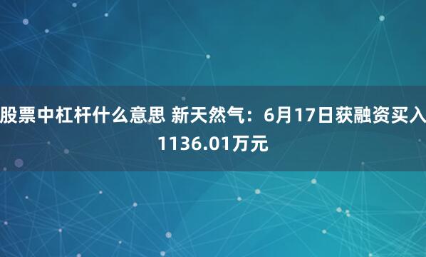 股票中杠杆什么意思 新天然气：6月17日获融资买入1136.01万元