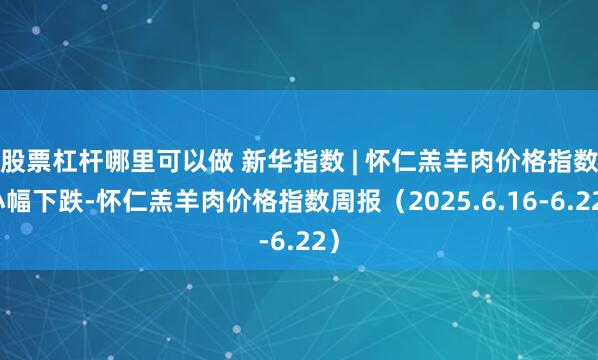 股票杠杆哪里可以做 新华指数 | 怀仁羔羊肉价格指数小幅下跌-怀仁羔羊肉价格指数周报（2025.6.16-6.22）