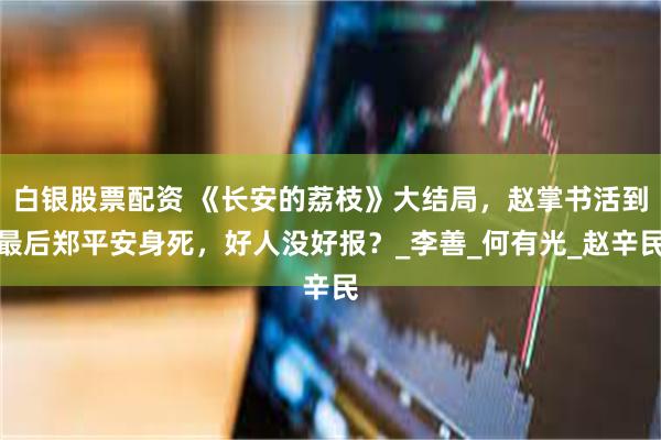 白银股票配资 《长安的荔枝》大结局，赵掌书活到最后郑平安身死，好人没好报？_李善_何有光_赵辛民